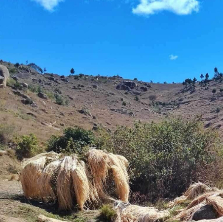 MADAGASCAR, TERRITOIRE DE MATIÈRES